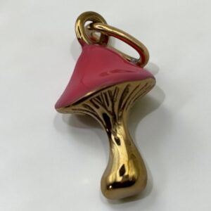 Charm champignon rouge